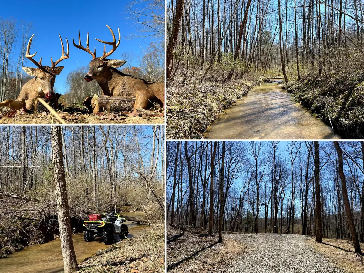 0 Dutch Ridge Road, New Lexington, OH 43764 - #1