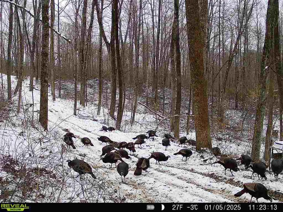 0 Dutch Ridge Road, New Lexington, OH 43764 - #2