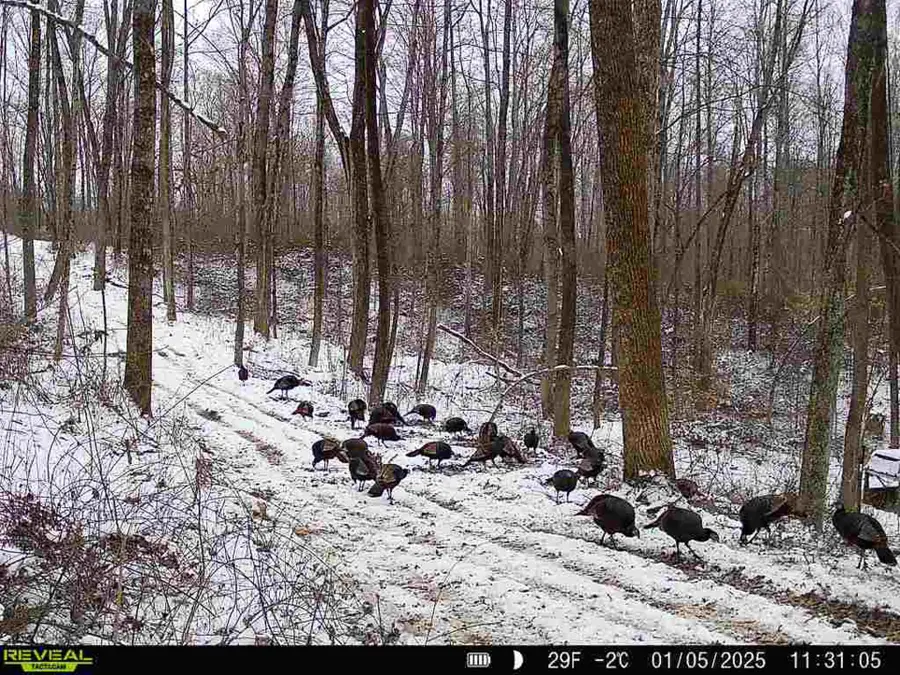 0 Dutch Ridge Road, New Lexington, OH 43764 - #3