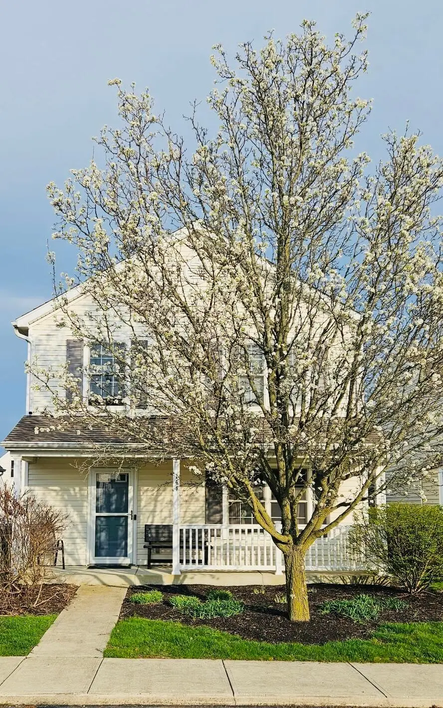 144 Bartlett Street, Delaware, OH 43015 - #1