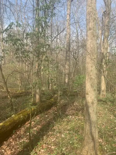 0 Township Road 188, Marengo, OH 43334 - #1