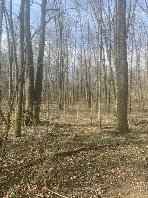 0 Township Road 188, Marengo, OH 43334 - #2