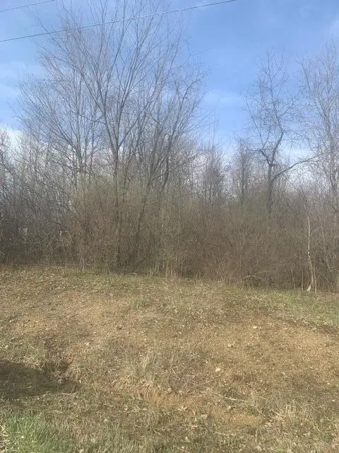 0 Township Road 188, Marengo, OH 43334 - #3