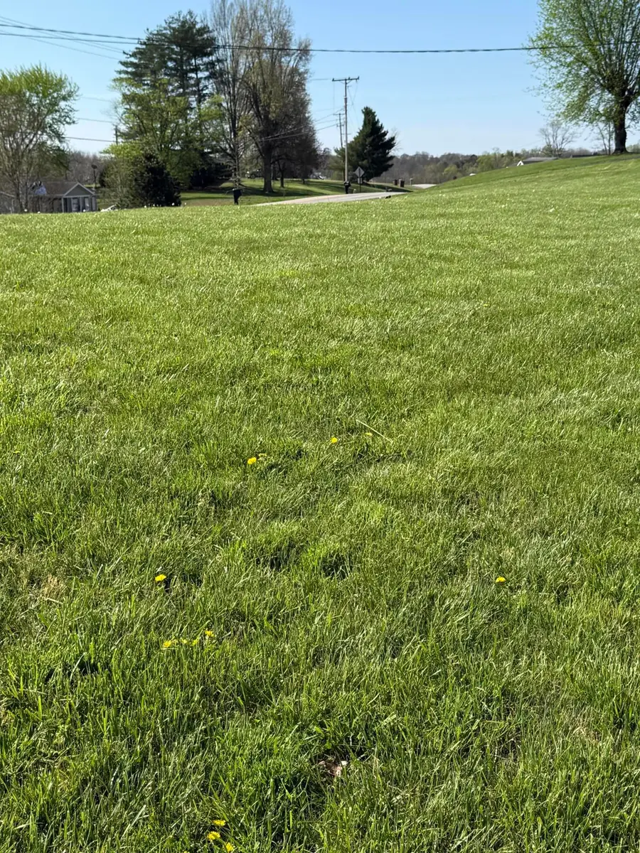 3233 Tick Ridge Road, Wheelersburg, OH 45694 - #2