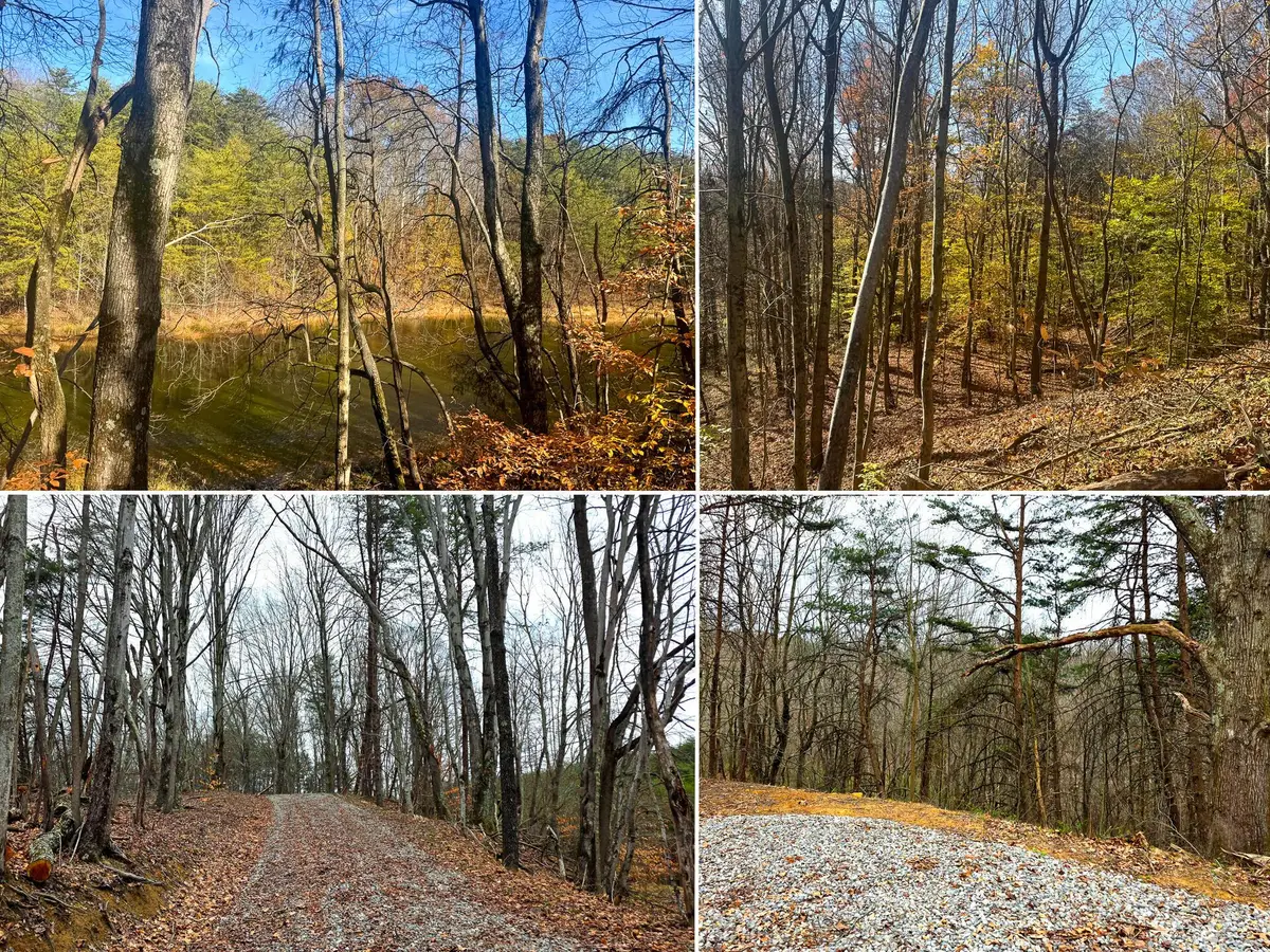 830 Nibert Road, Gallipolis, OH 45631 - #1