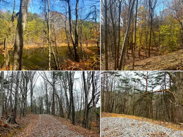 830 Nibert Road, Gallipolis, OH 45631