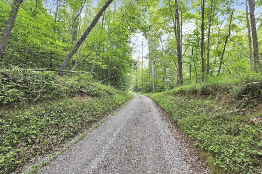 0 Lot #1 Thad Hall Road, Laurelville, OH 43135 - #2