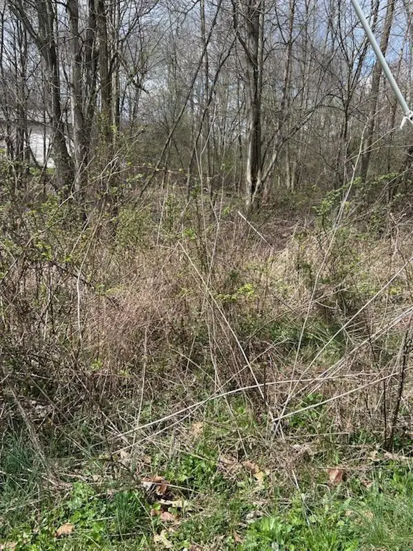 0 King Road, Howard, OH 43028 - #2