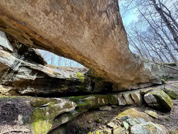 0 Remely Road, Cutler, OH 45724