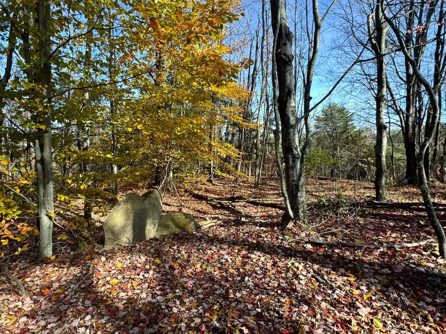 818 Campaign Poplar Road, Gallipolis, OH 45631 - #3