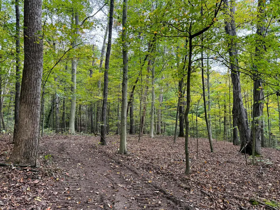 0 Little Kyger Road, Cheshire, OH 45620 - #2
