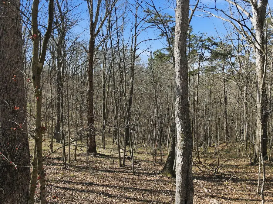 0 Roberts Rd Road, Jackson, OH 45640 - #3