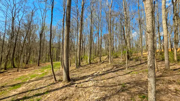 0 Dennis Road, Zanesville, OH 43701