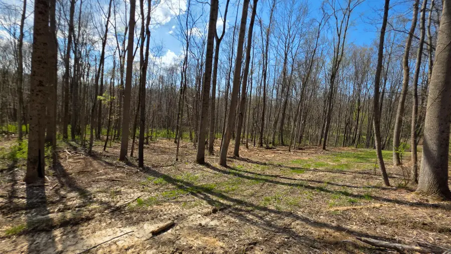 0 Dennis Road, Zanesville, OH 43701 - #2