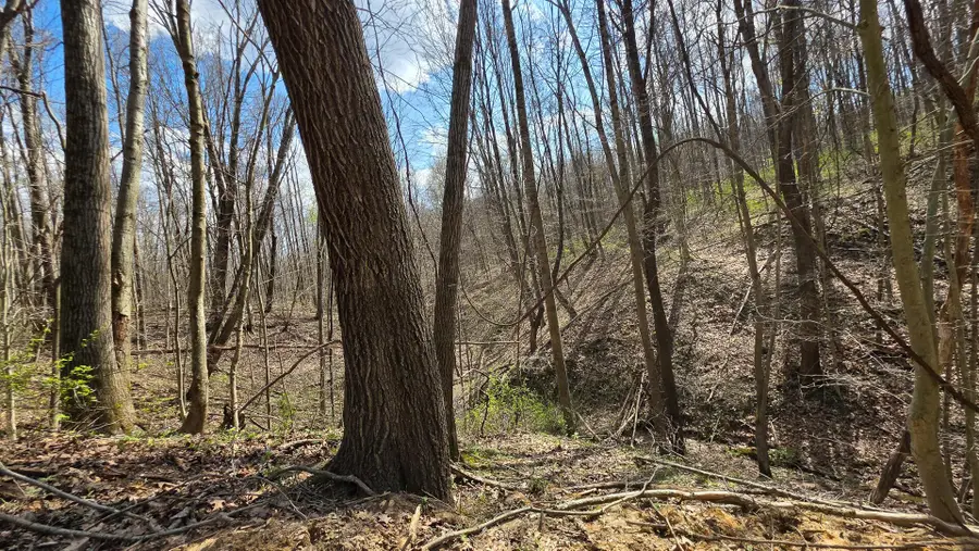0 Dennis Road, Zanesville, OH 43701 - #3