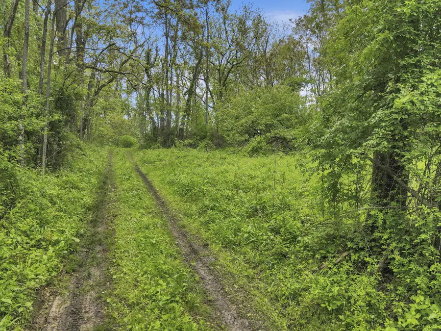 29500 Fairview Ridge Road, Logan, OH 43138 - #2