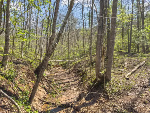 5235 Pounds Road, Chesterhill, OH 43728