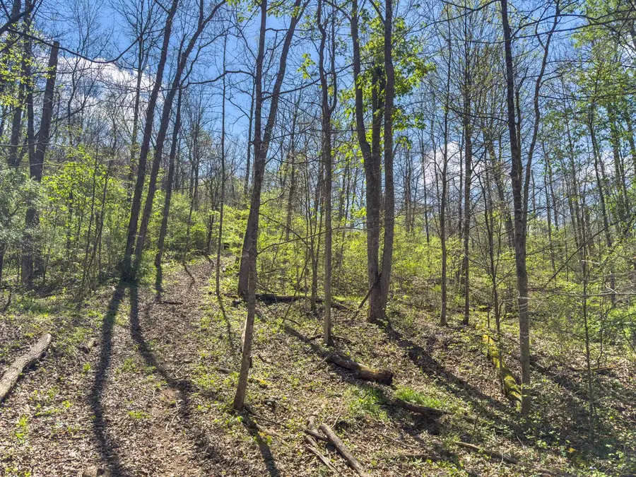 5235 Pounds Road, Chesterhill, OH 43728 - #2