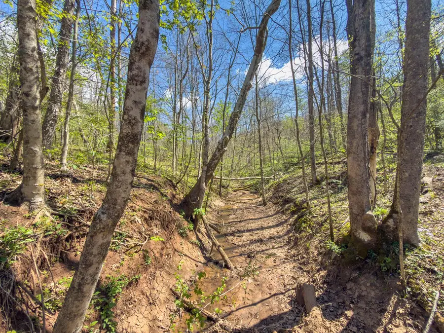5235 Pounds Road, Chesterhill, OH 43728 - #3