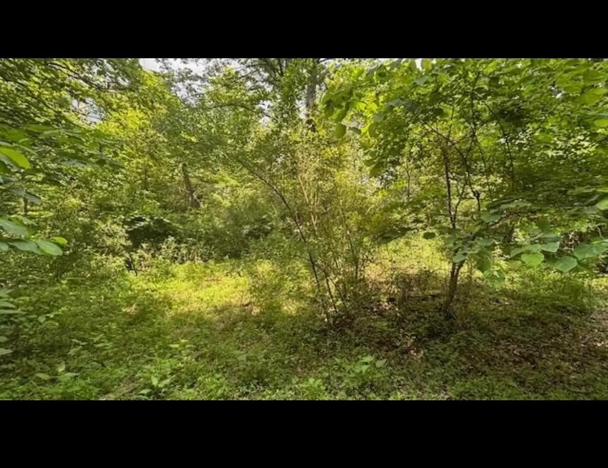 14500 Wolfe Road, Amesville, OH 45711 - #1