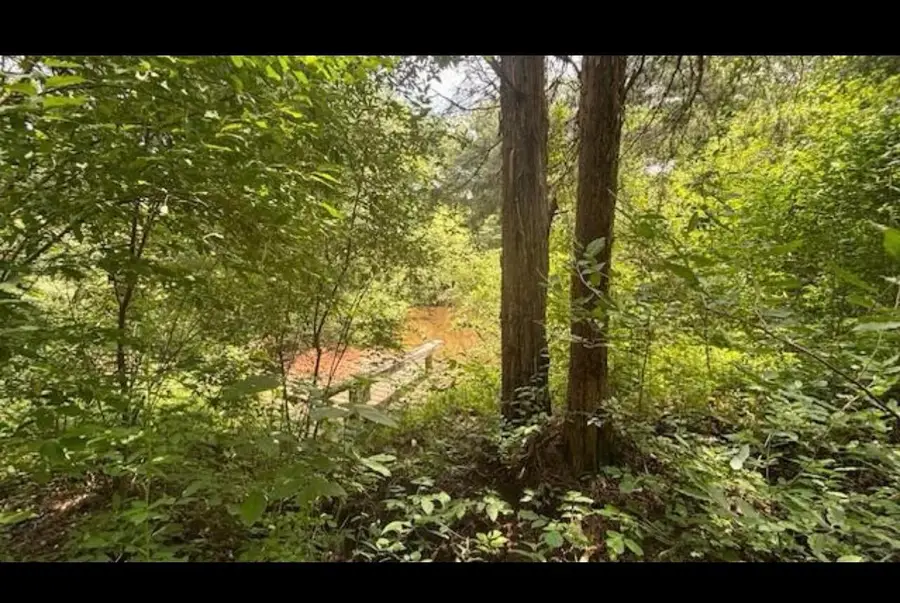 14500 Wolfe Road, Amesville, OH 45711 - #2
