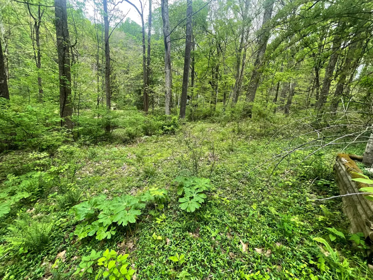 12593 Trillium Way, Rockbridge, OH 43149 - #1