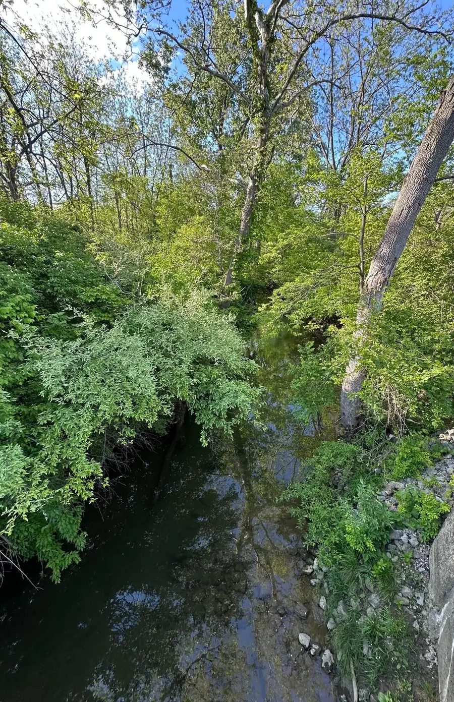 19379 Hall Road, Mount Sterling, OH 43143 - #3