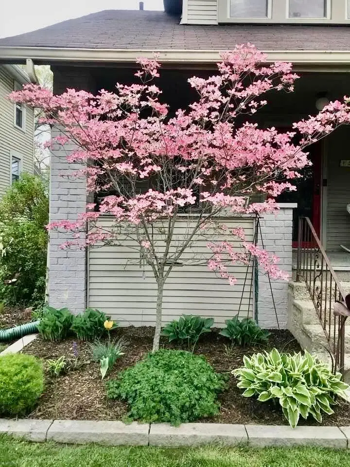 1336 Murrell Avenue, Columbus, OH 43212 - #3