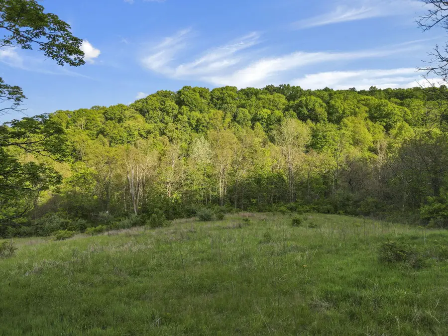 14745 Dutch Creek Road, Athens, OH 45701 - #3