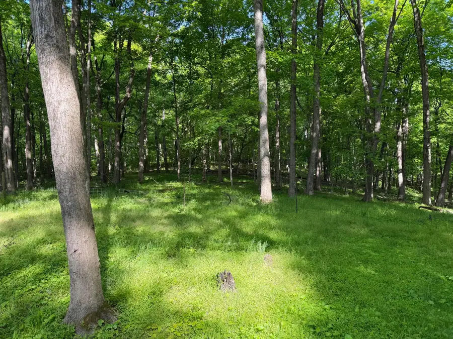 13807 Marshall Road, Rockbridge, OH 43149 - #2