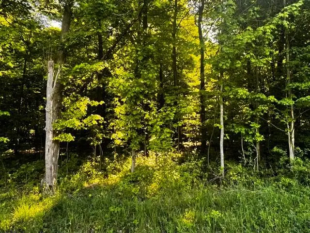 0 Feasel Road, Mount Vernon, OH 43050 - #1