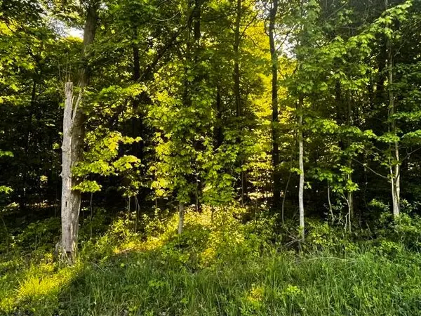 0 Feasel Road, Mount Vernon, OH 43050