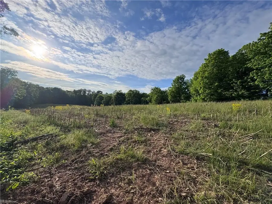 11+- Walker Hill Road, Stockport, OH 43787 - #2