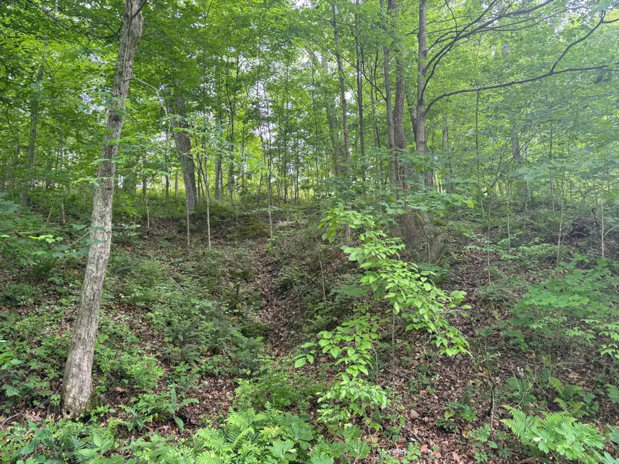 31551 Bensonhaver Road, Logan, OH 43138 - #2