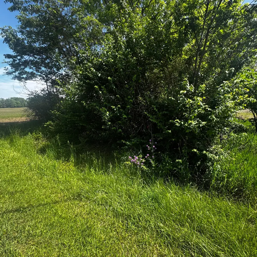 0 Brown Road, Ostrander, OH 43061 - #3