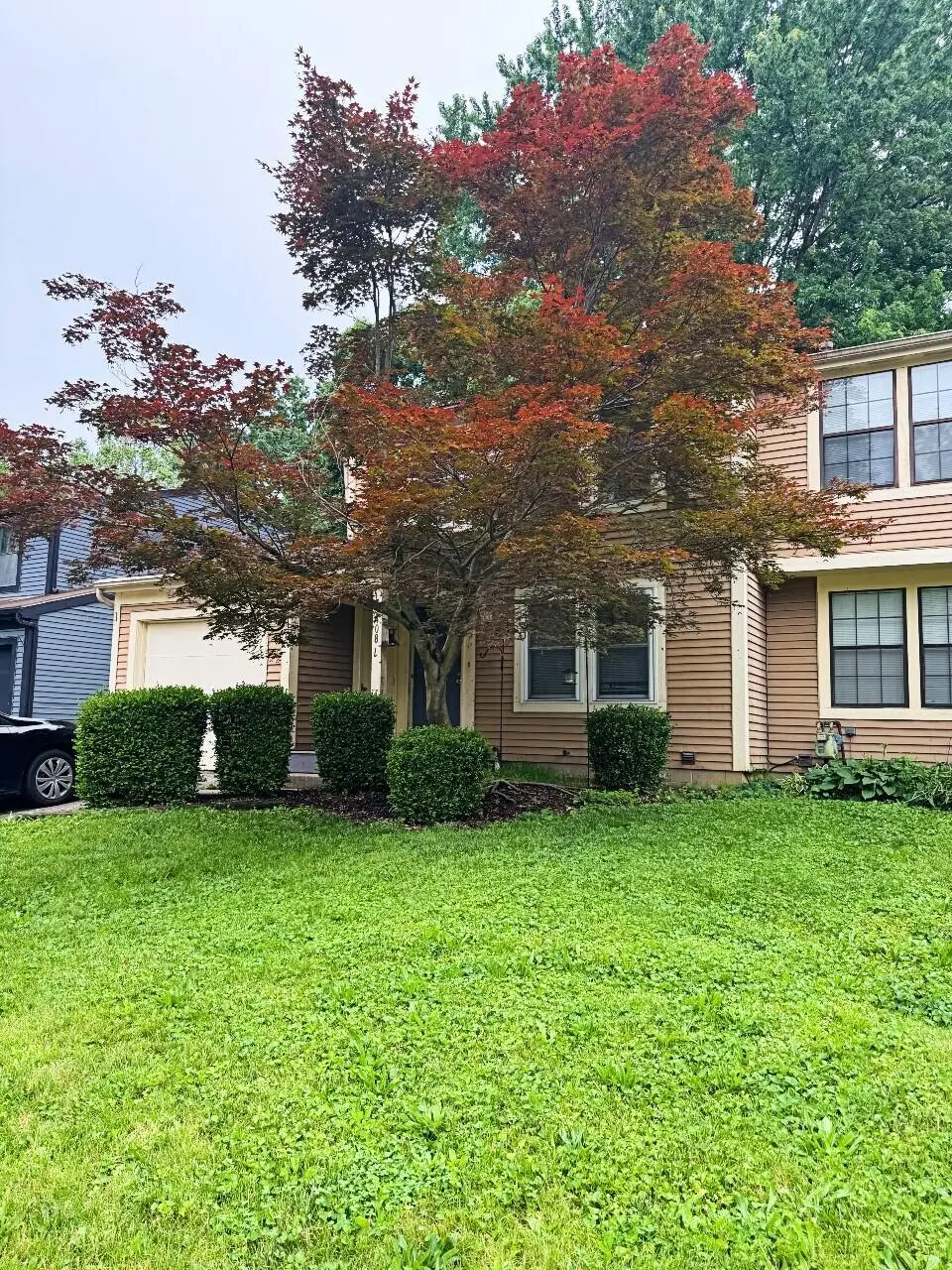 4087 Forest Edge Drive, Columbus, OH 43230 - #1