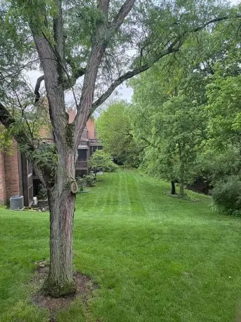 84 Glen Drive, Worthington, OH 43085 - #2