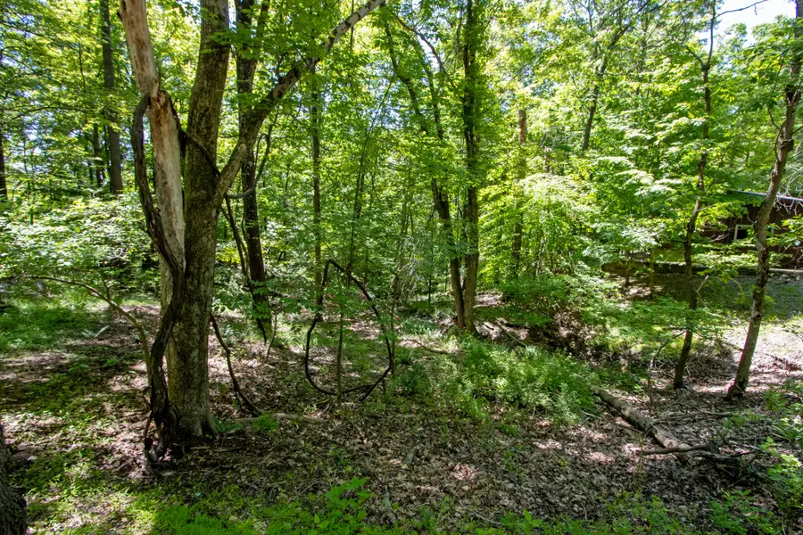 16135 Township Road 211, Loudonville, OH 44842 - #2