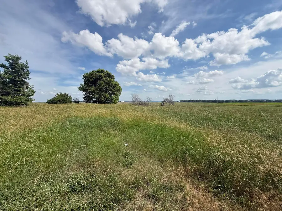 498 Junk Road, Clarksburg, OH 43115 - #2