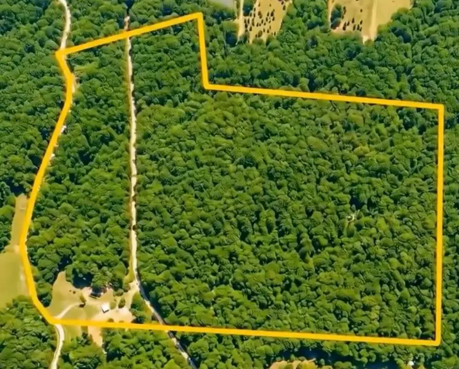 24630 Turner Road, South Bloomingville, OH 43152 - #2