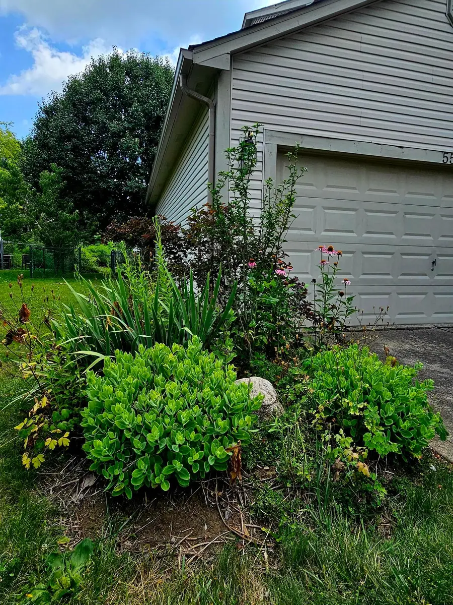 5560 Forest Glen Drive, Grove City, OH 43123 - #2