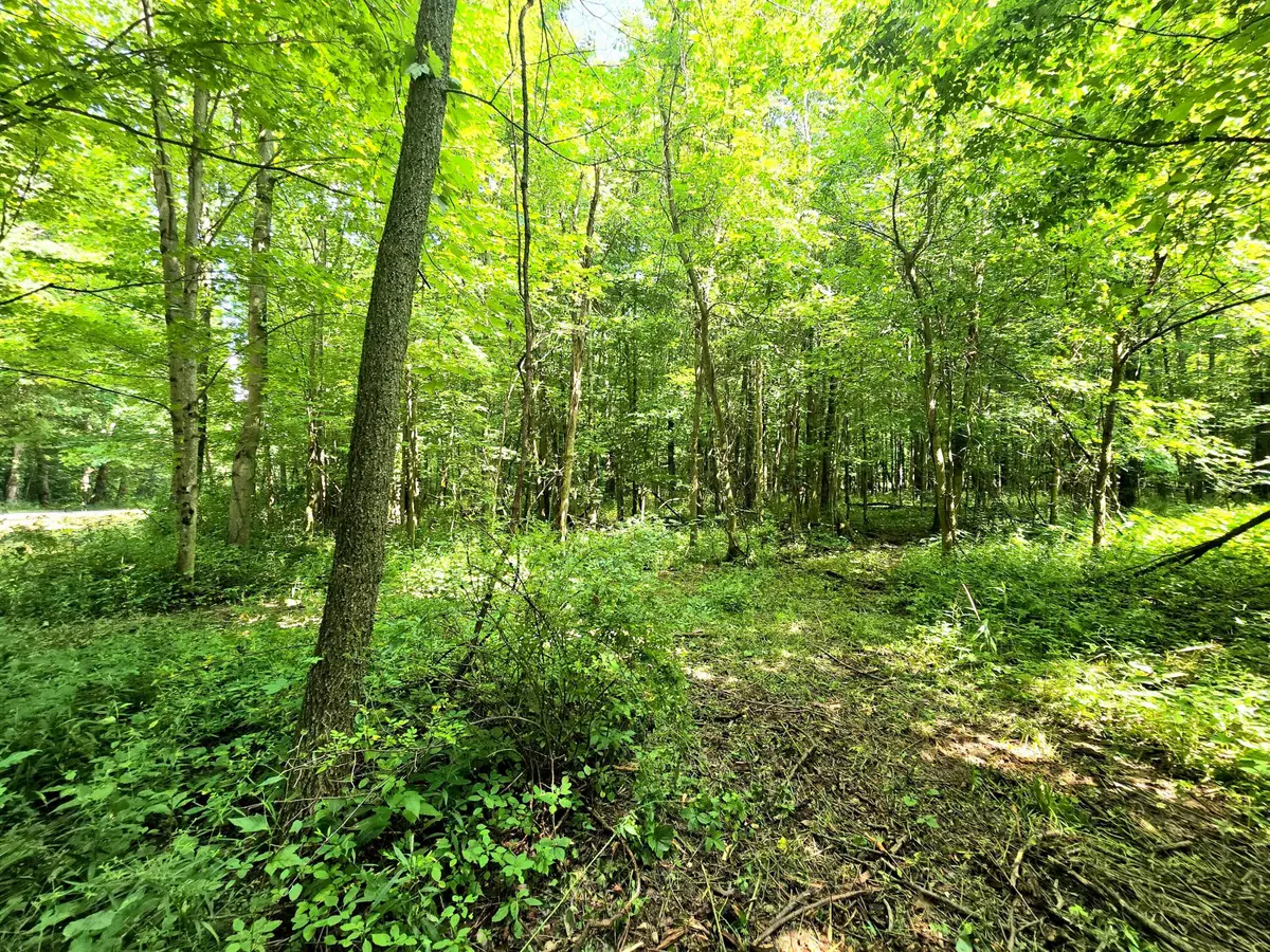 9026-1 Gregg Road, Fredericktown, OH 43019 - #1