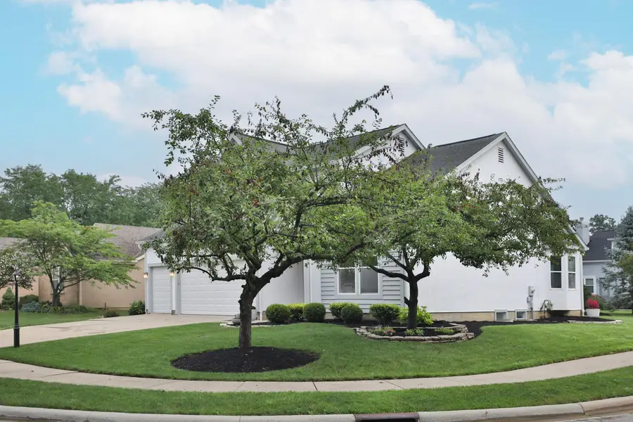 386 Shelby Avenue W, Powell, OH 43065 - #3