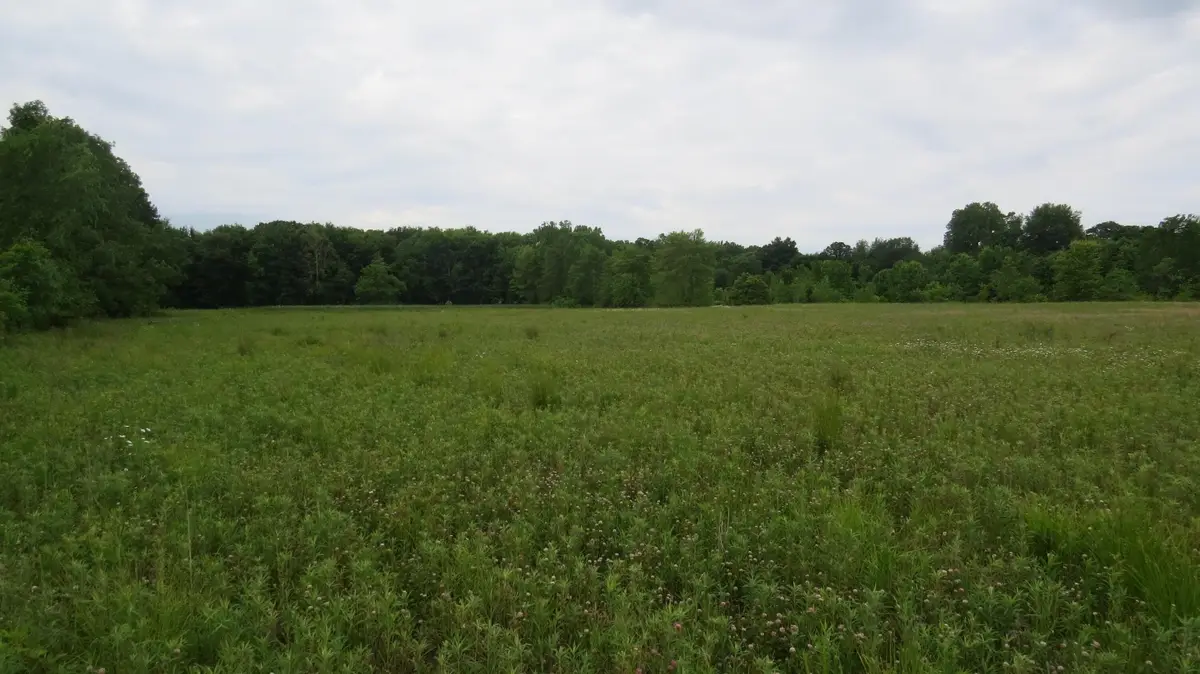 9730 Butcher Road, Mount Vernon, OH 43050 - #1