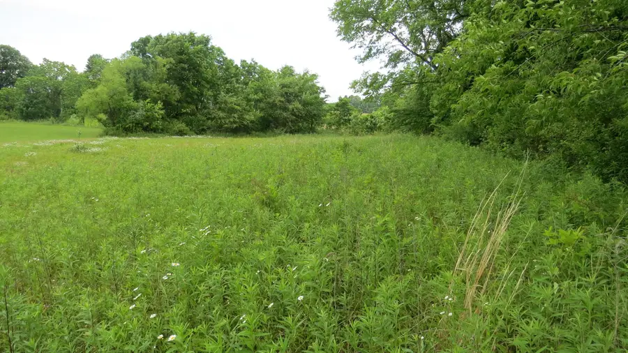 9730 Butcher Road, Mount Vernon, OH 43050 - #3