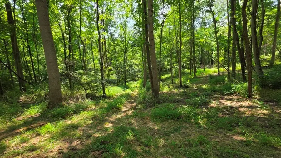 0 Dennis Lane, Zanesville, OH 43701 - #3
