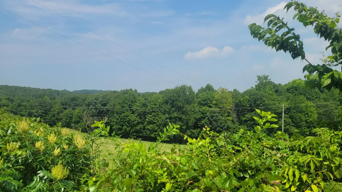 1561 Wickline Road, Beaver, OH 45613 - #1