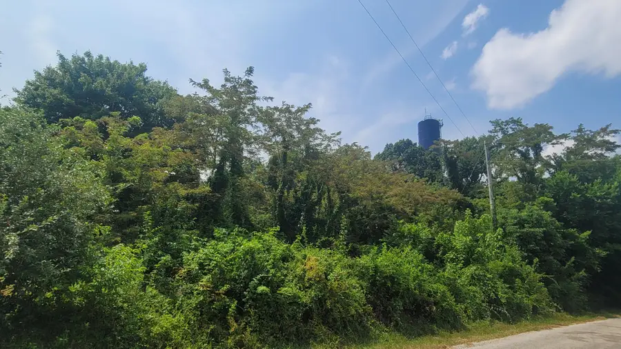1561 Wickline Road, Beaver, OH 45613 - #2