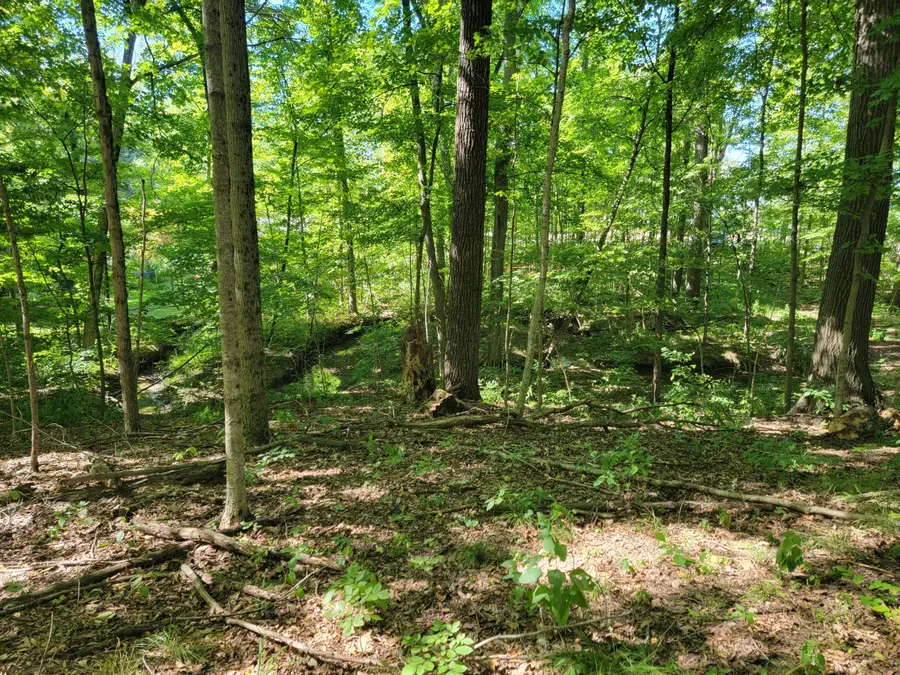 6152 Jaycox Road, Galena, OH 43021 - #3