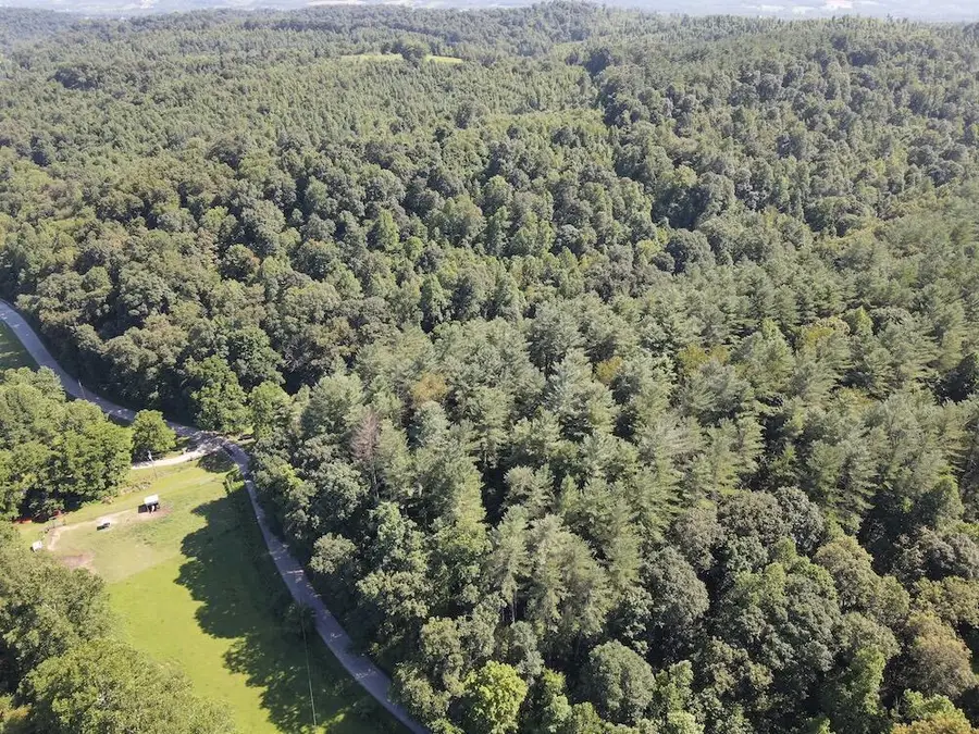 165 Swift Creek Road, Beaver, OH 45613 - #2